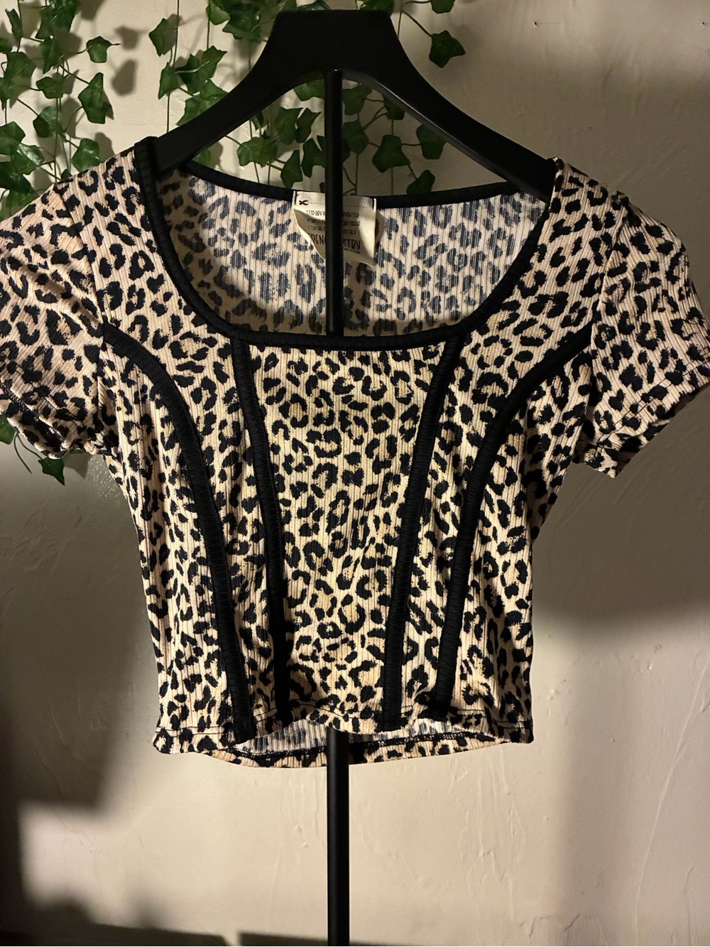 french pastry Leopard Print Scoop Neck Crop Top - Cream & Black